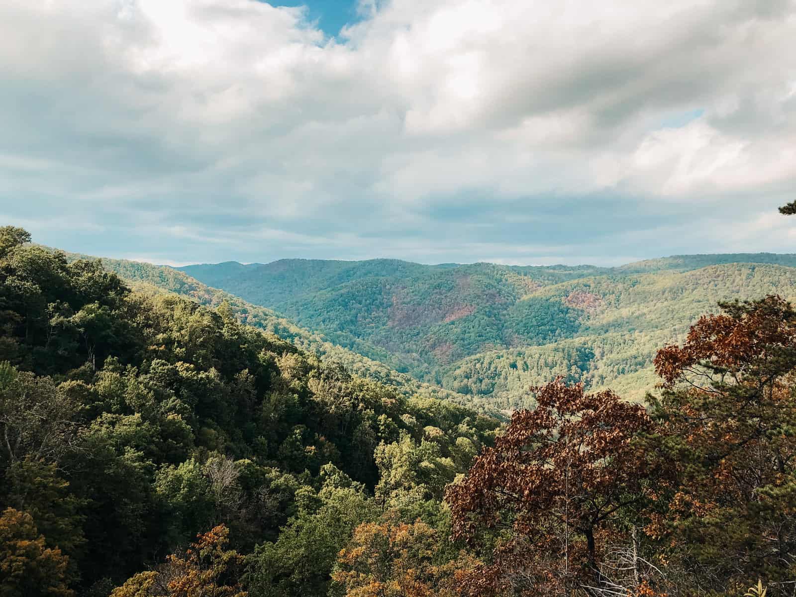 11 Best Hikes Near Lynchburg, Virginia