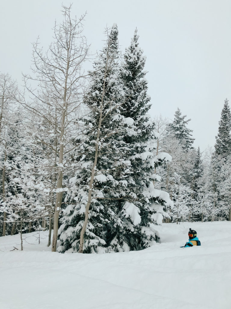 The best powder skiing in Colorado at Steamboat Springs.