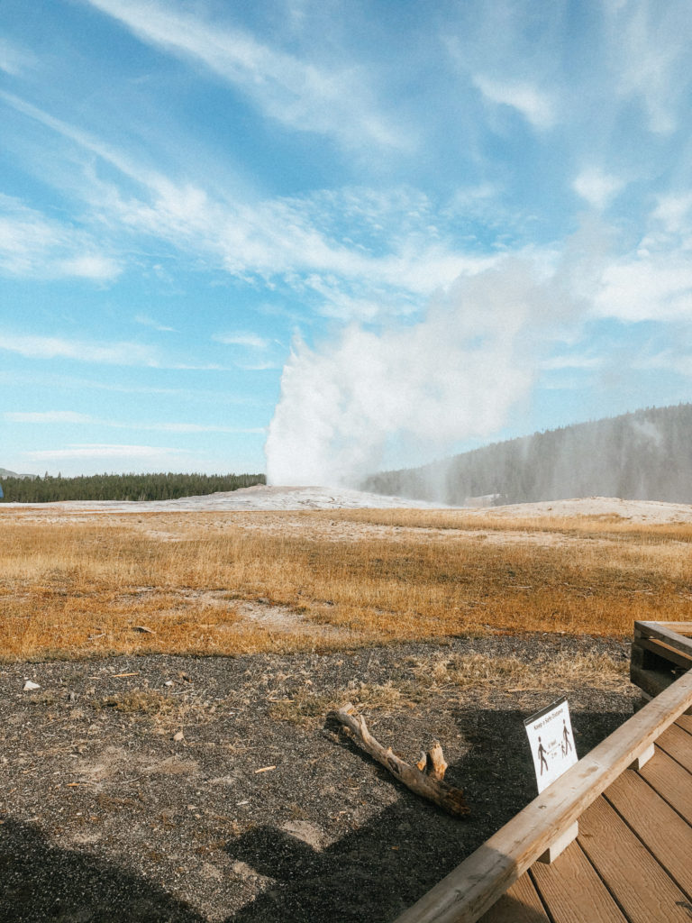 A geyser going off in Yellowstone National Park.