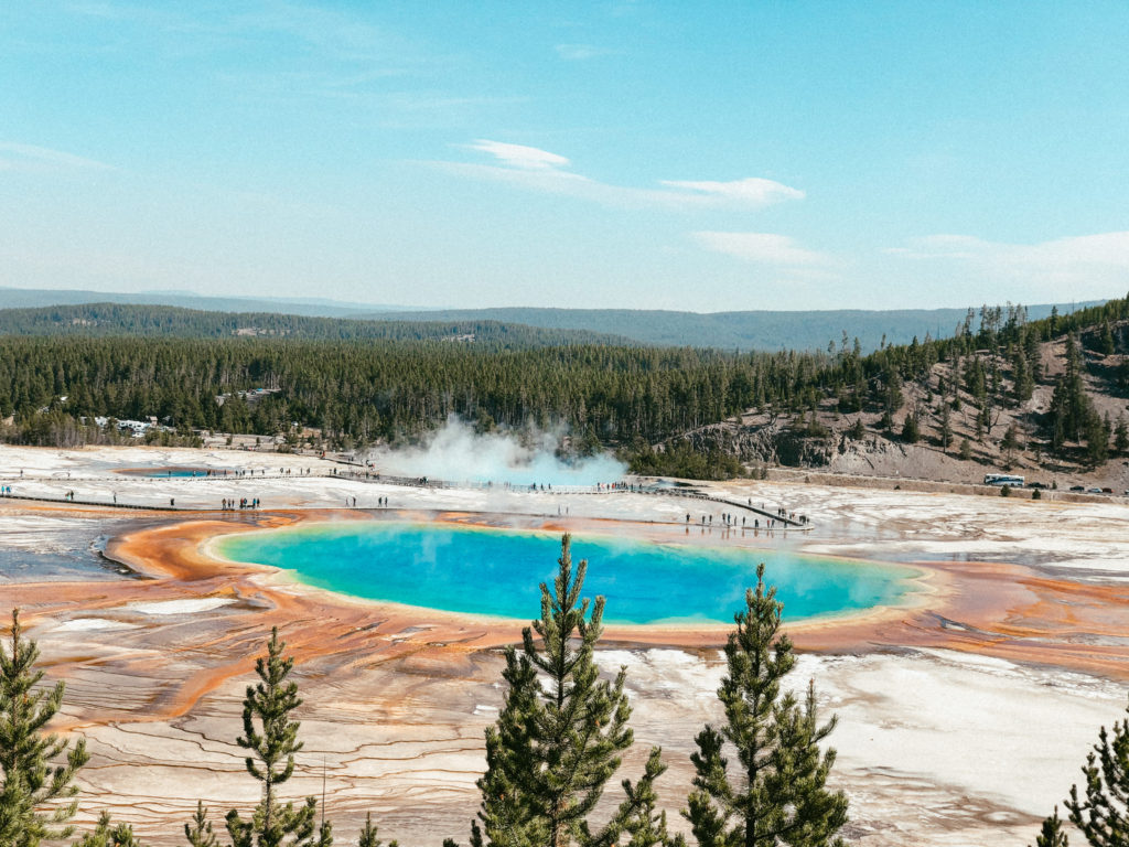 Yellowstone National Park, one of the best day trips from Bozeman.