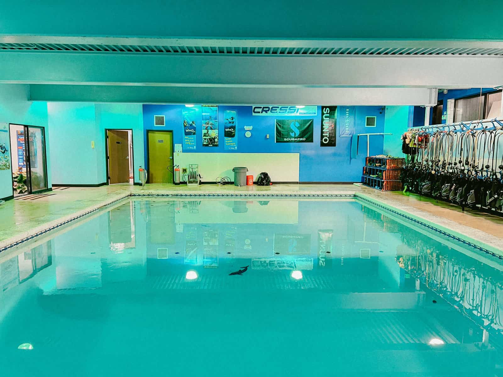 The pool underneath the dive shop.