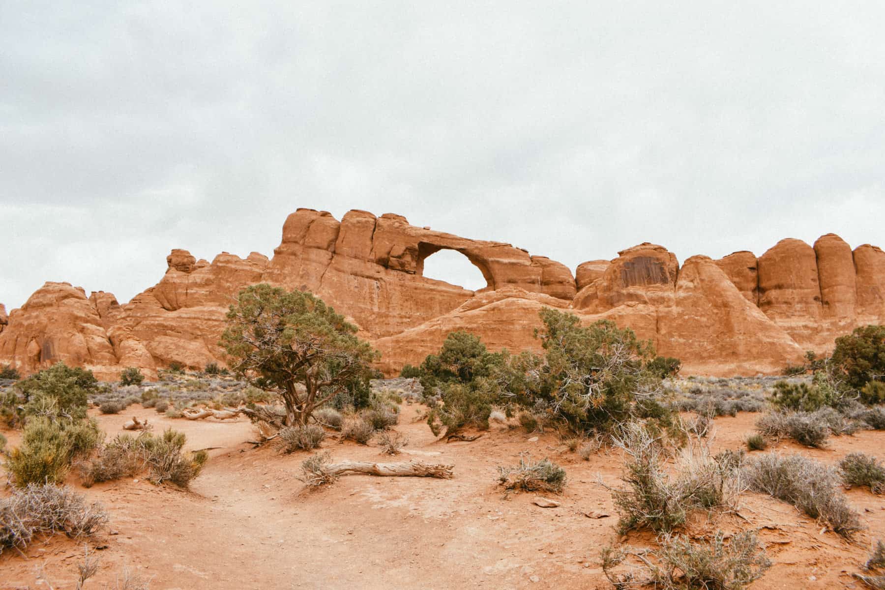 One of the many arches at Arches National Park.