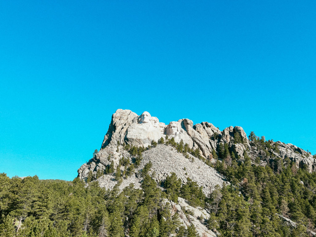 Mount Rushmore surrounded by greenery on a road trip from Denver to Mount Rushmore!