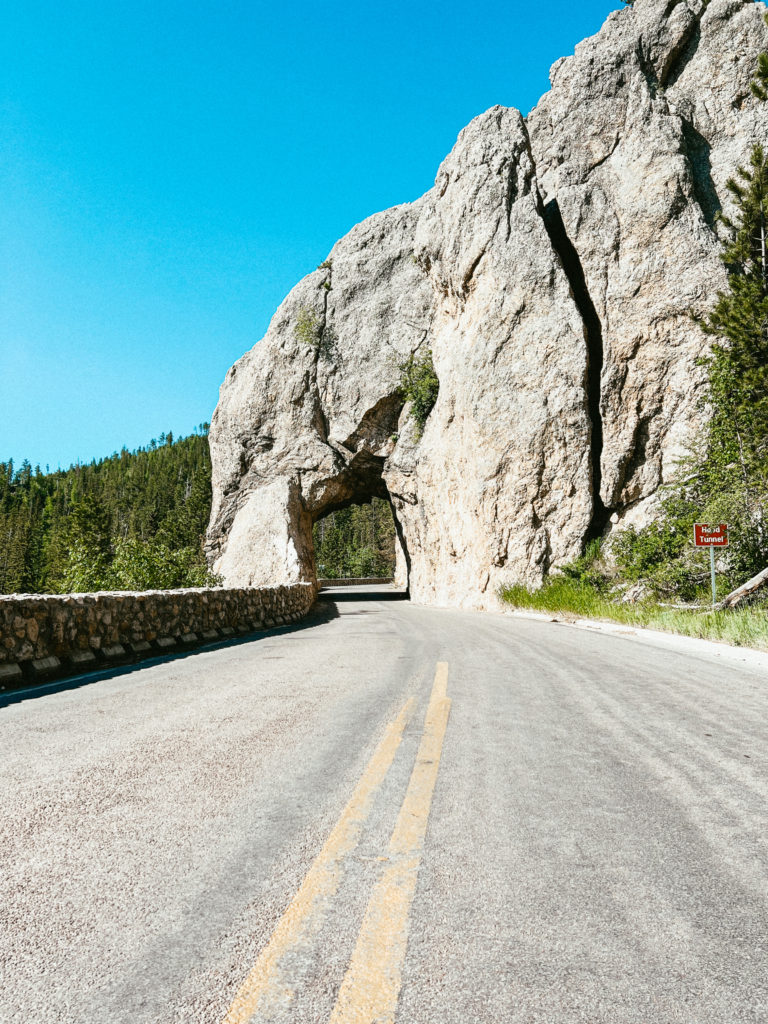 The ultimate road trip from Denver to Mount Rushmore.