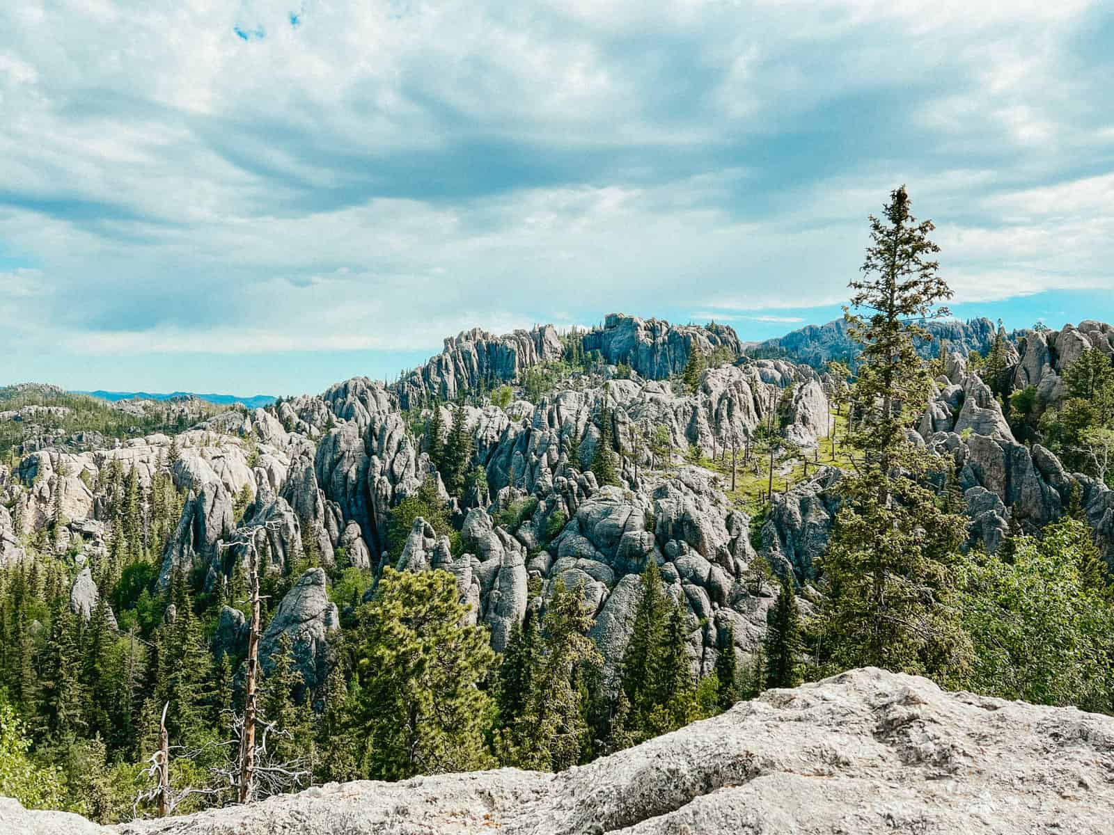 Rock formations and greenery on a hike in South Dakota.