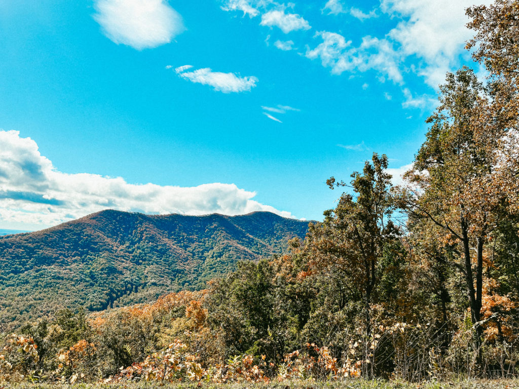The Blue Ridge Mountains as the fall foliage begins to change.