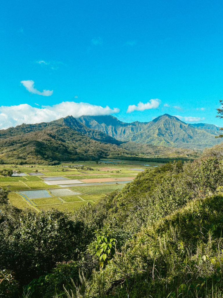 The green mountains of Kauai with beautiful blue skies up above.
