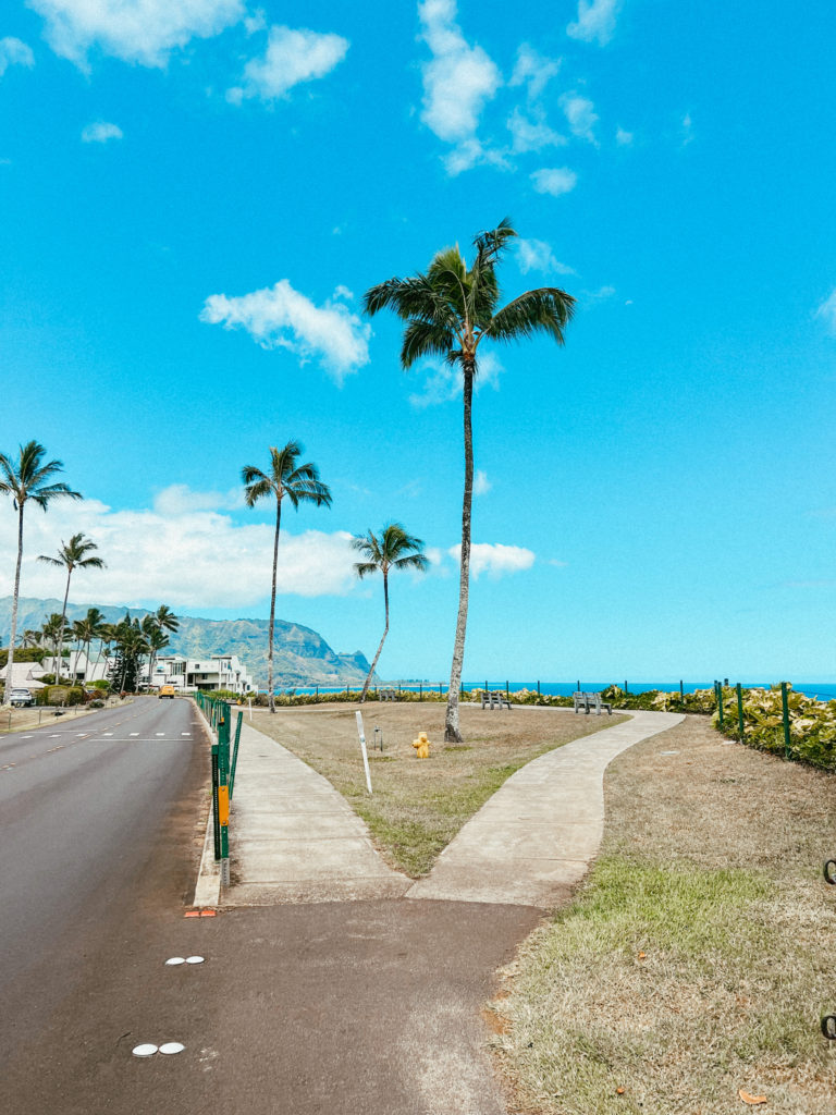 Palm trees off the road in Kauai with blue skies above.