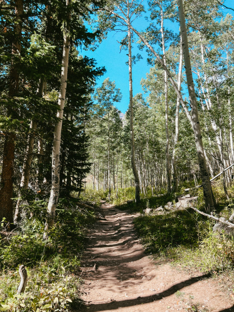 A hiking trail in Aspen, Colorado filled with aspen trees and grass.