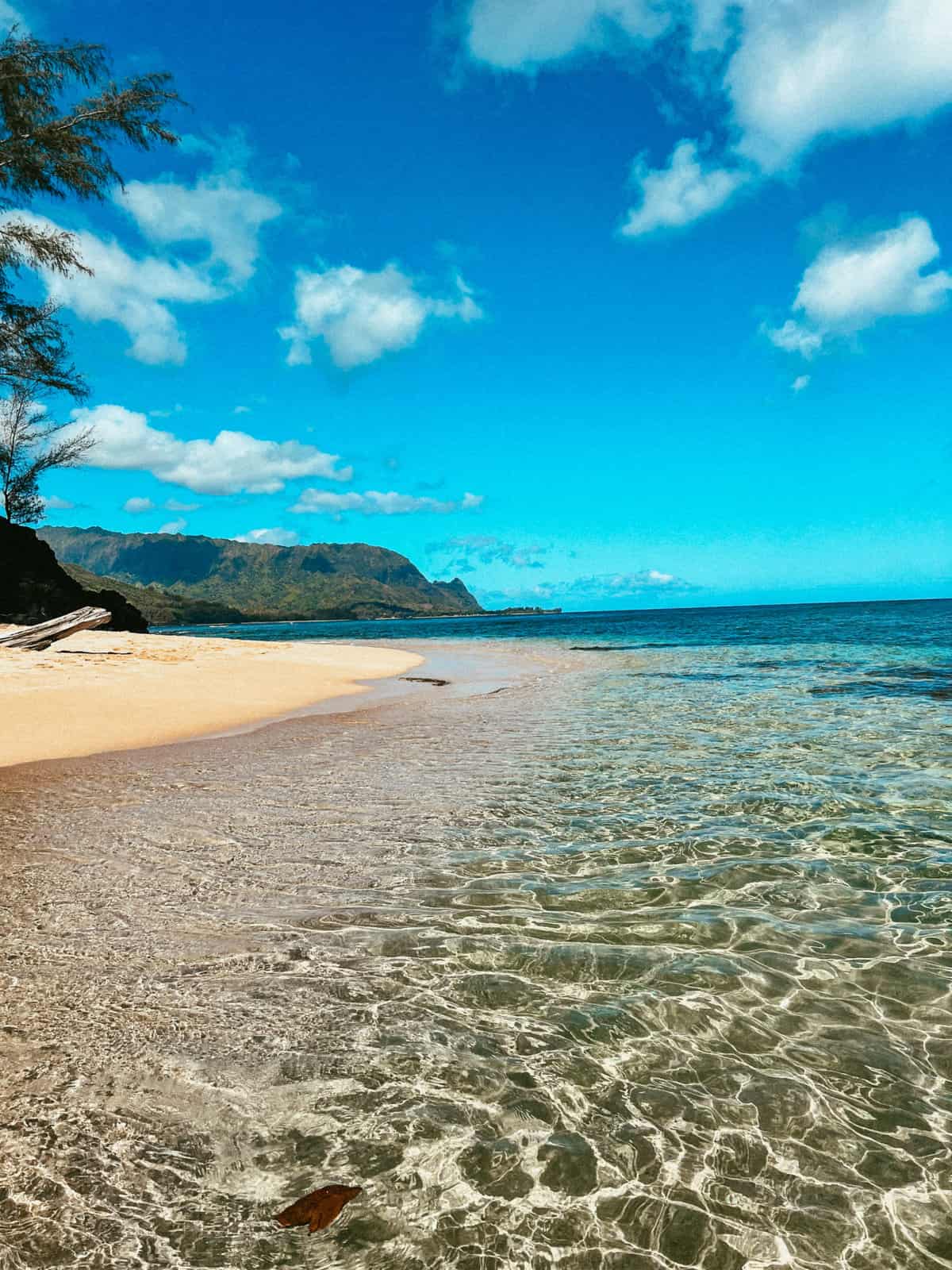 21 BEST Things To Do In Kauai For Couples (From A Travel Expert)