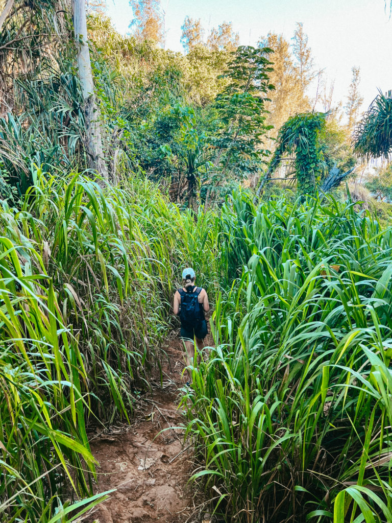 Abby hiking through greenery in Kauai.