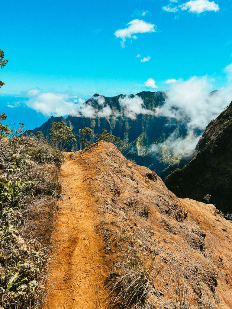 A trail leading to mountain views. 