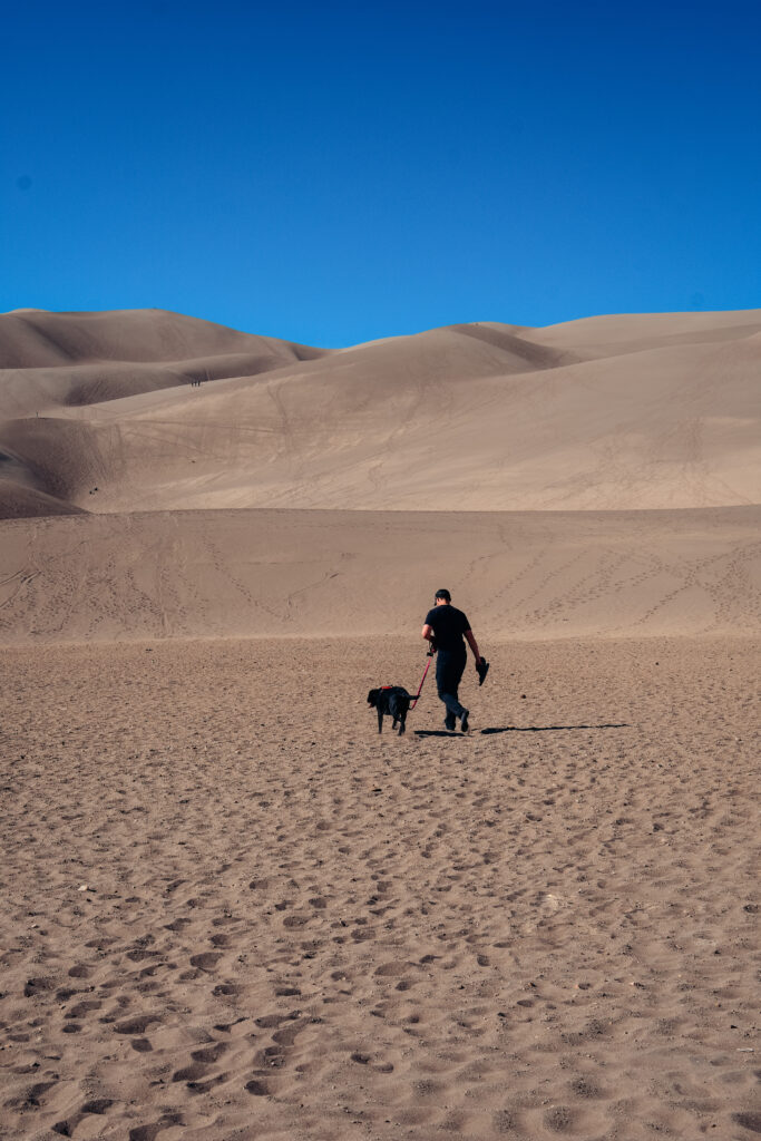 Sam and Clover walking with sand dunes in the distance. 