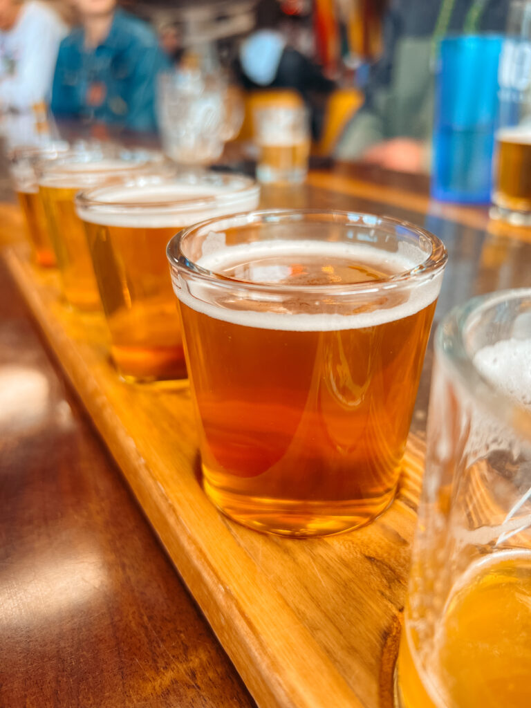 A flight of beer served at a bar while brewery hopping, one of the best activities to do when visiting Asheville.
