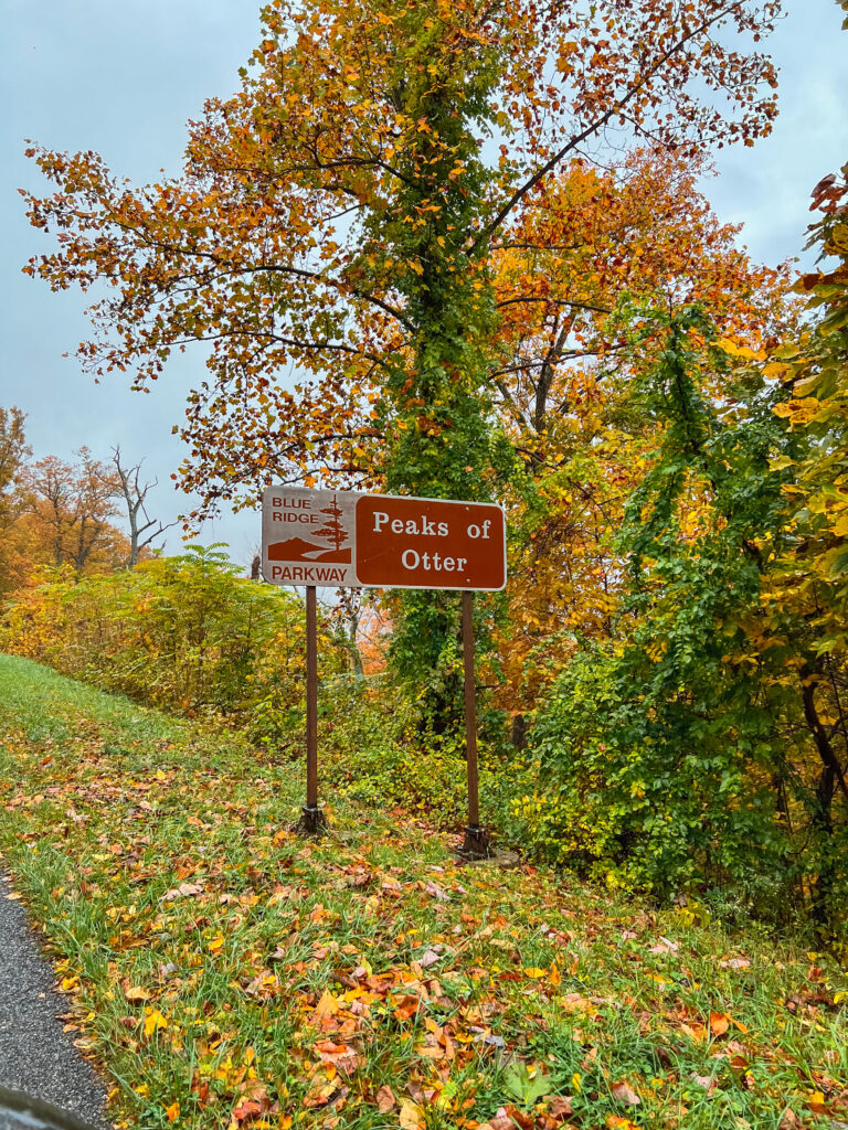 A Blue Ridge Parkway sign with fall foliage in the background.