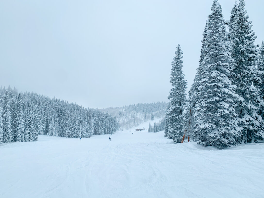 The best New Mexico skiing and snowboarding.