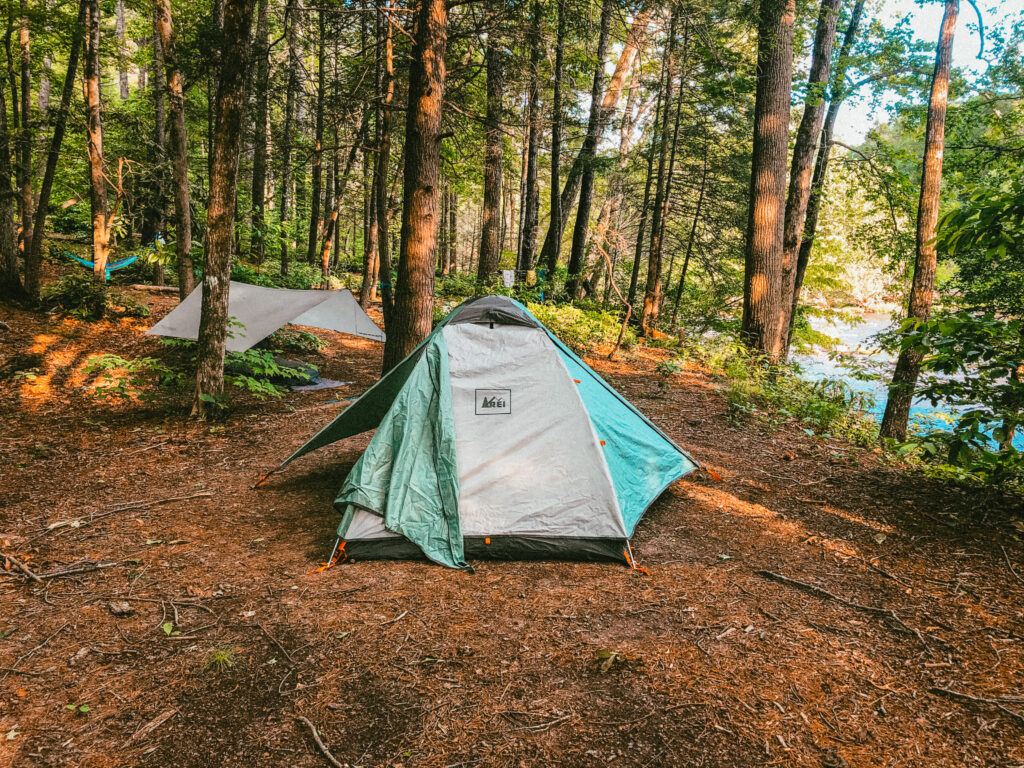 Tents and a hammock set up in the wilderness surrounded by trees.