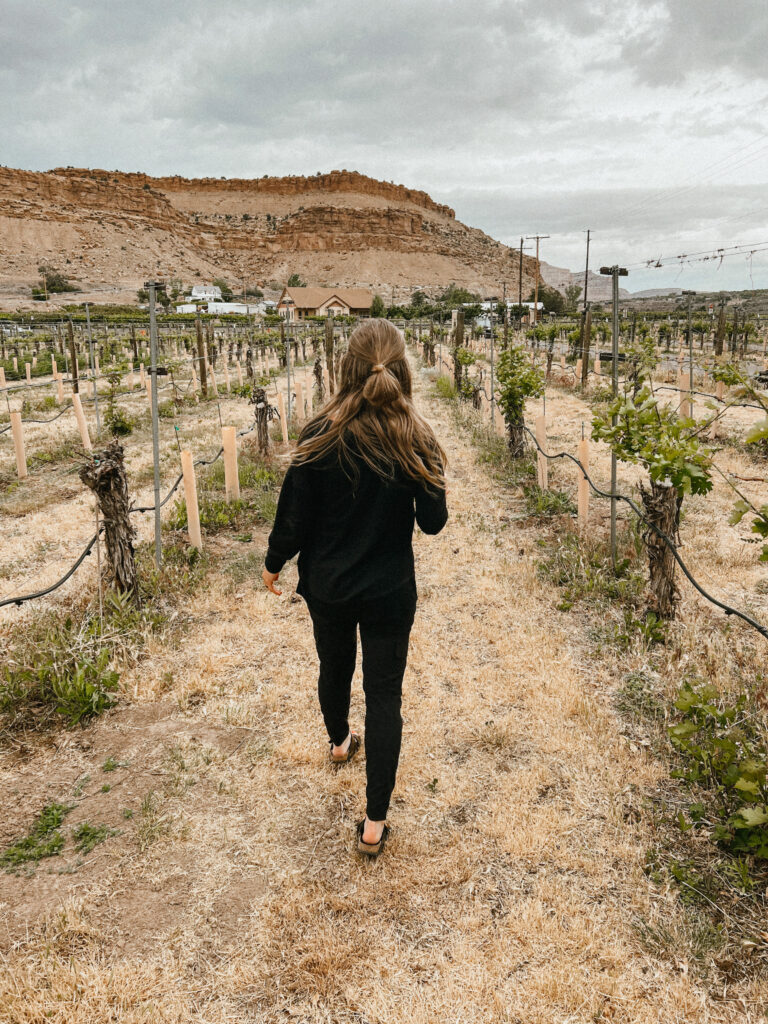 Abby walking through a vineyard.