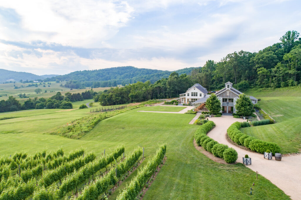Pippin Hill Farm & Vineyard, one of the best wineries in Charlottesville, VA.