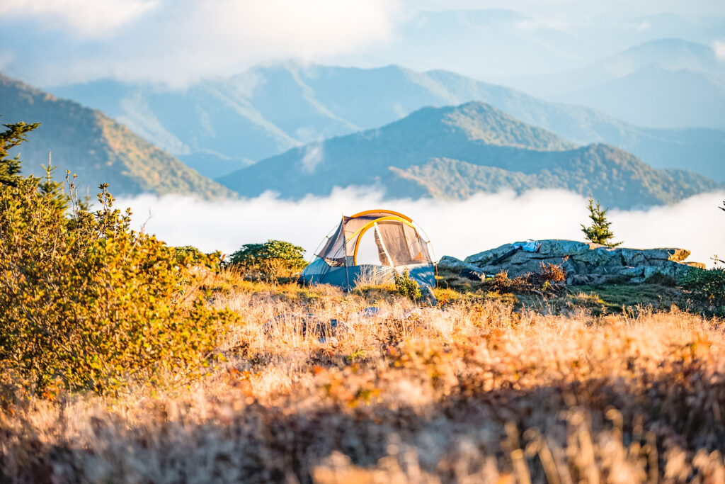 A tent set up near tall grass and green mountains in the background.