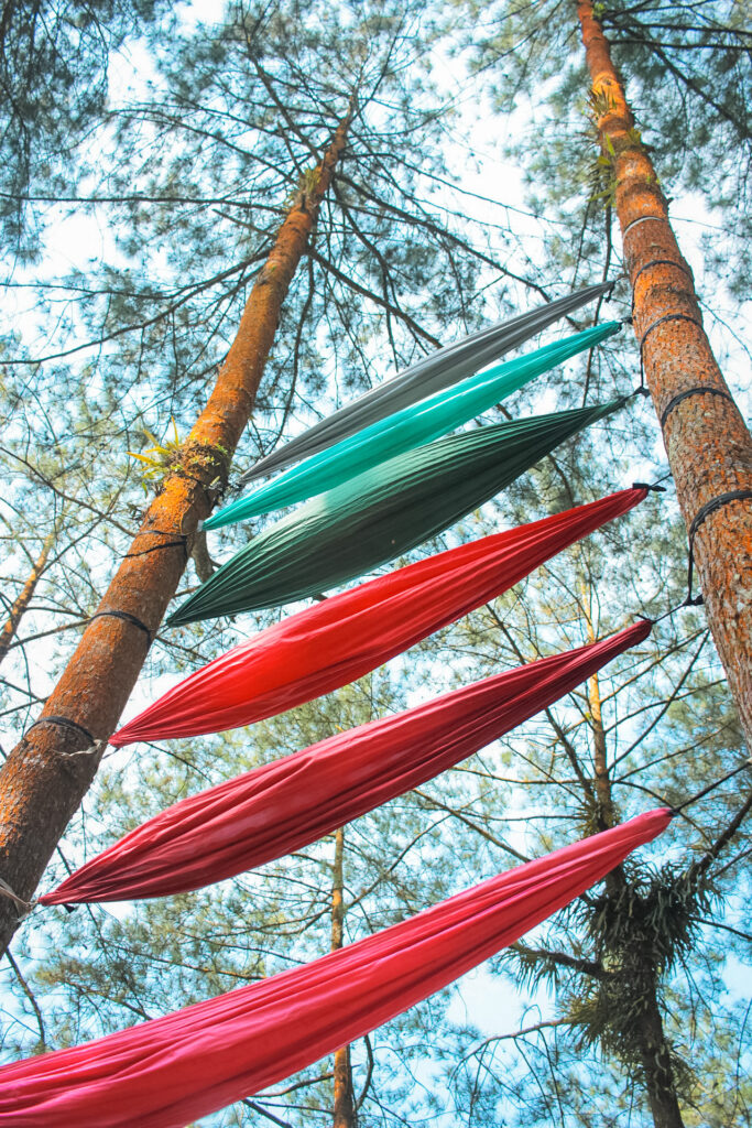 A handful of colorful camping hammocks set up in between trees.