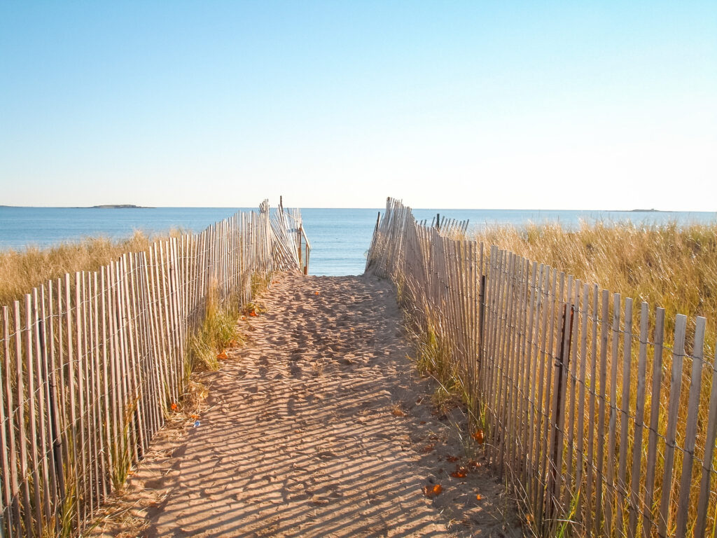 A sandy path leading to the ocean.