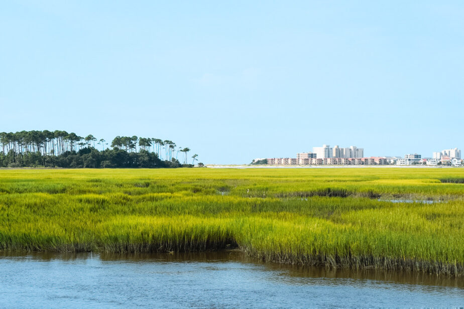 One of the best boat tours in Charleston SC takes you through the marsh.