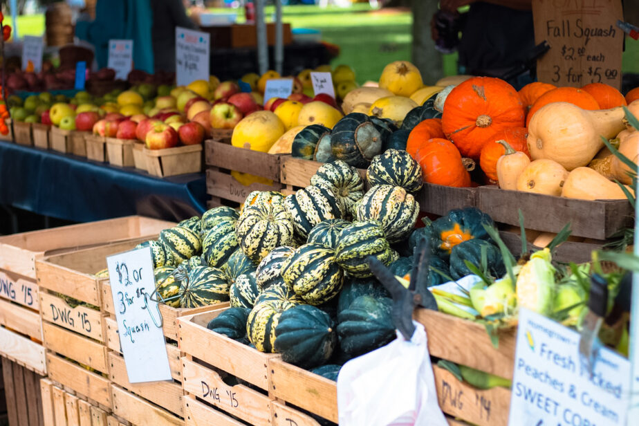 A farmers market, one of the best free things to do in Bozeman, Montana.