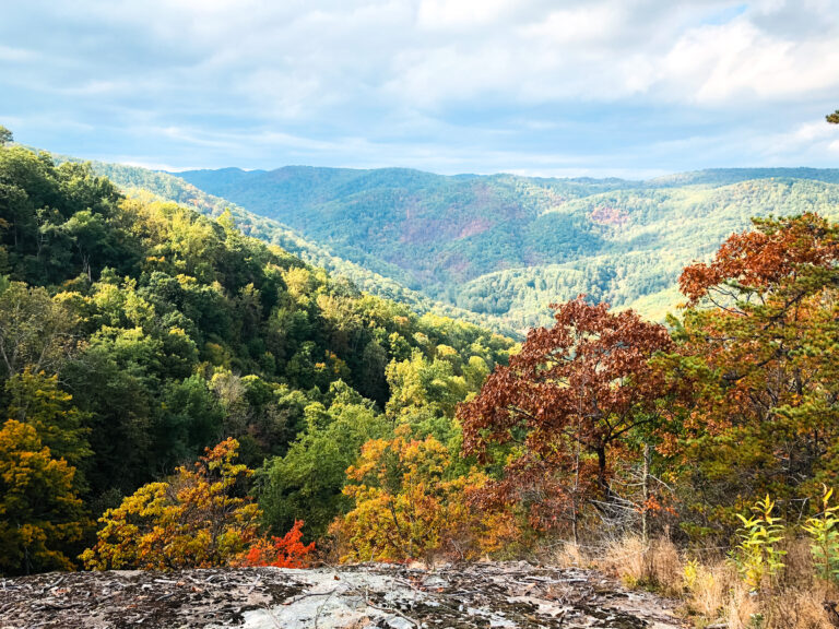 21 BEST Things To Do In Asheville On A Rainy Day