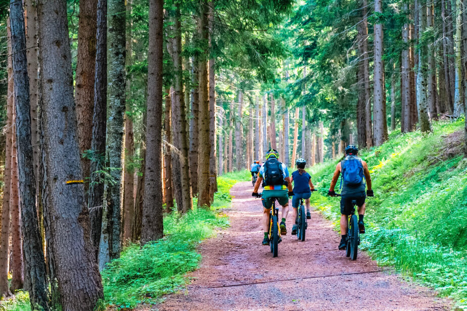 A group of people riding bicycles in a forested area.