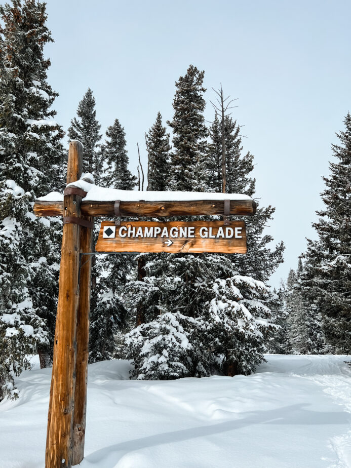 A black diamond ski slope sign in Colorado with snow covered trees and plenty of snow.