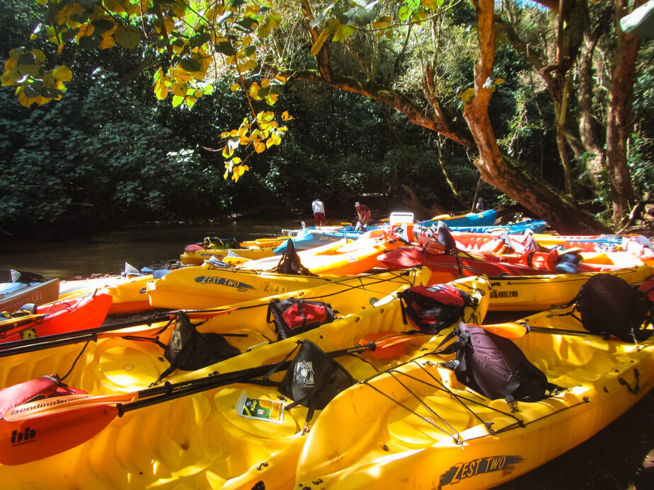 A fleet of kayaks sitting by a river.