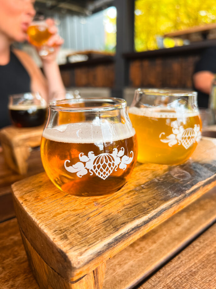A flight of craft beer served at one of the best breweries in Asheville.