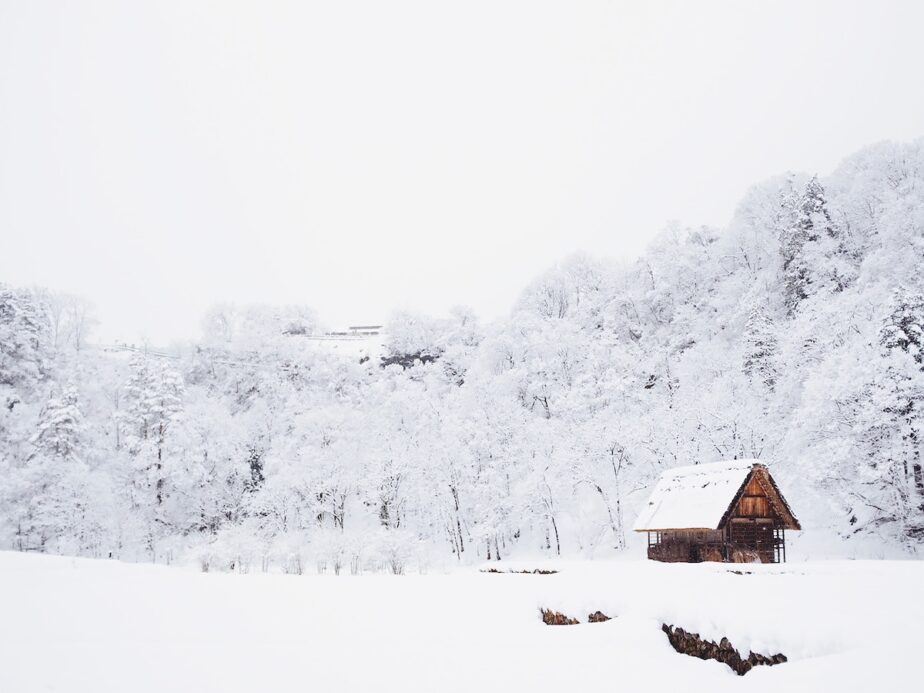 Snow in North Carolina surrounded a log cabin.
