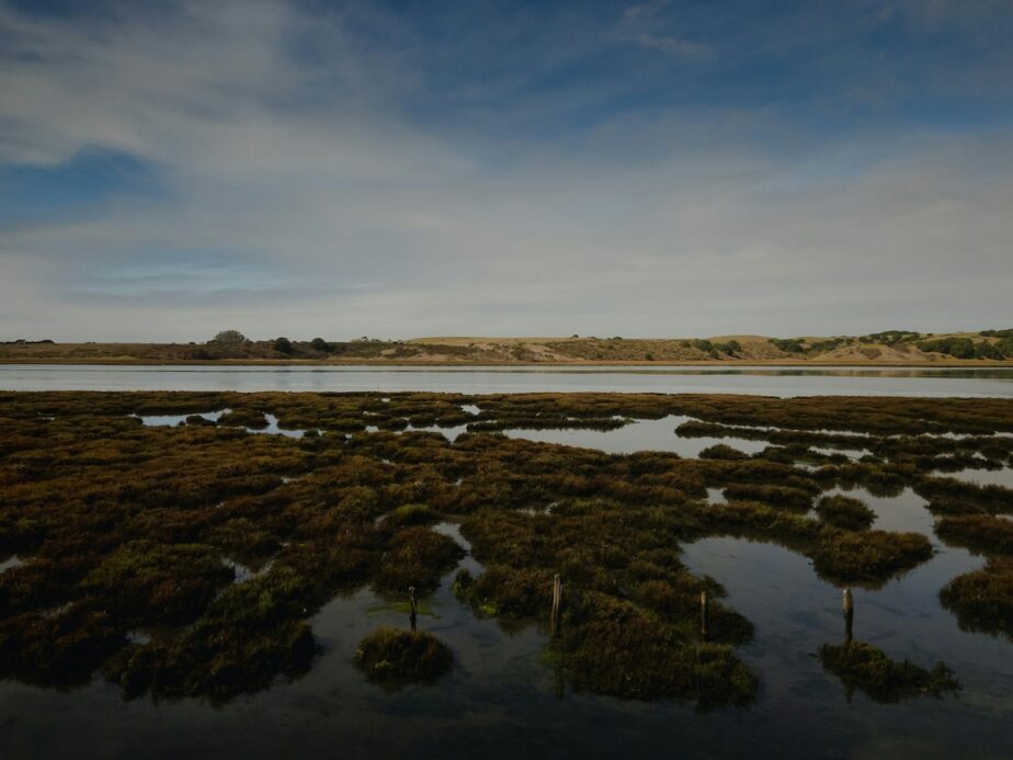 Views on one of the most beautiful Amtrak rides in the United States from the California Starlight.