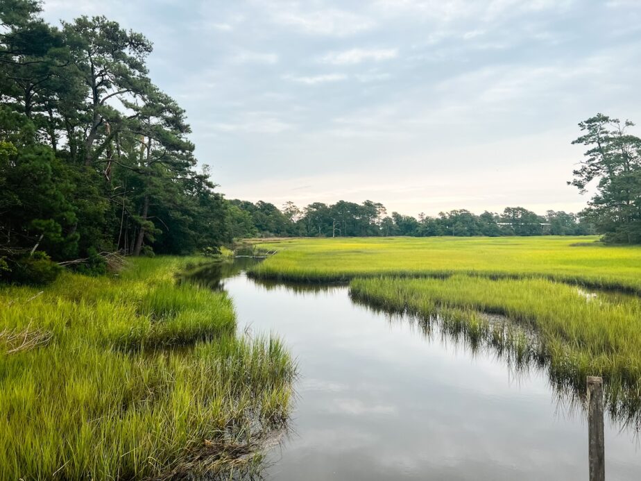 Marsh wetlands in Morehead City, North Carolina, one of the best places to visit during the summer on the East Coast.