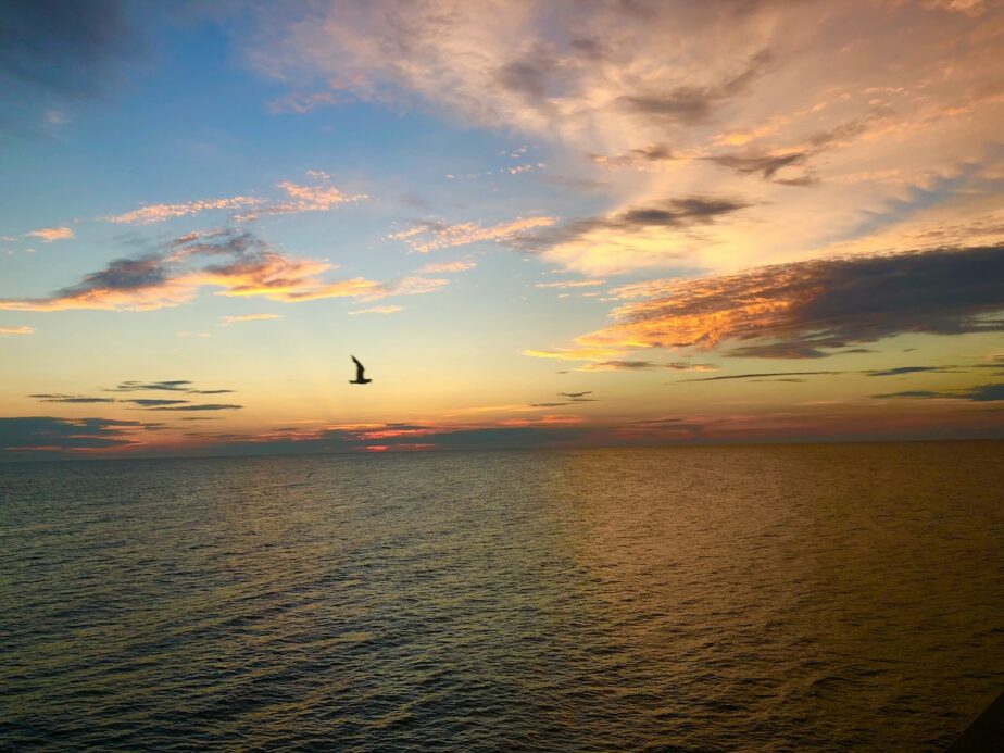 The ocean off of Wrightsville Beach during sunset as a bird flies by.