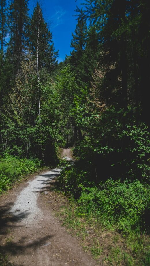 A hike that leads to Kooenai Falls, one of the best hidden gems in Montana.