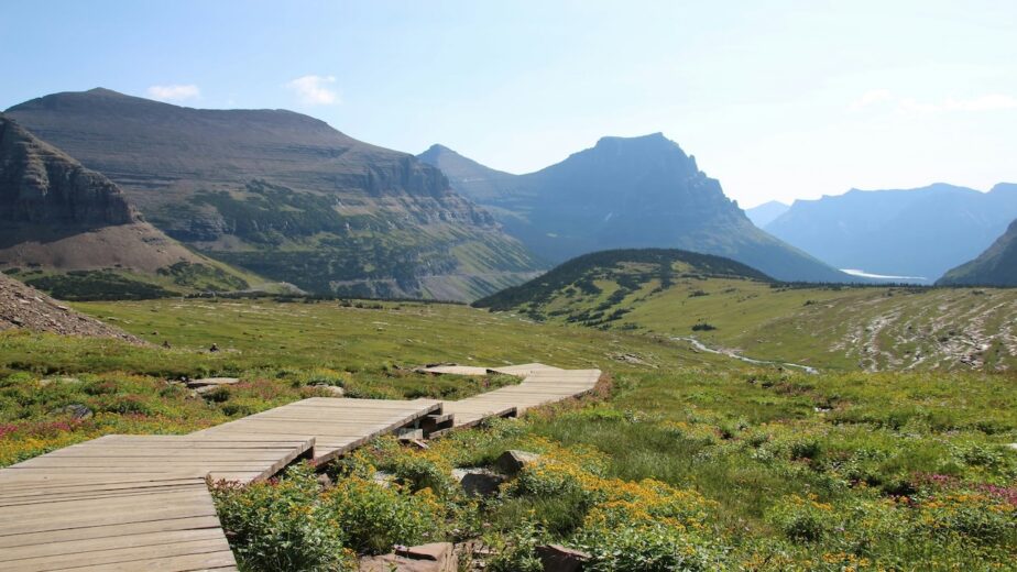 Grass and mountainous in Montana with a wooden walkway.