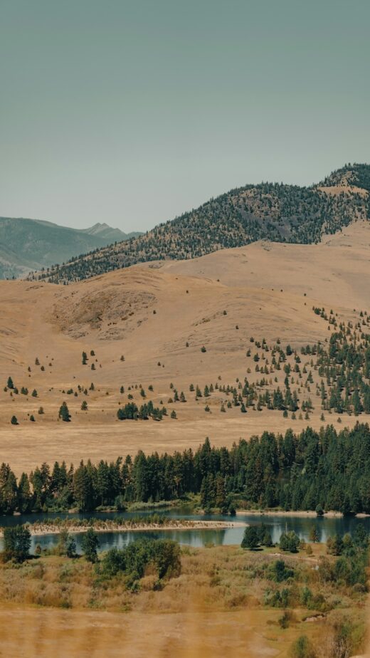 Mountainous, trees, and land in Montana.