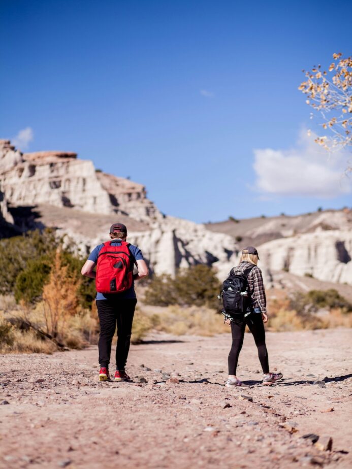 Two hikers with backpacks on and mountains in the distance.