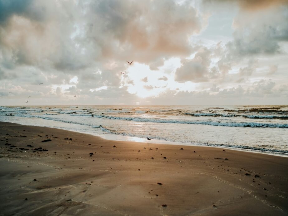 A beach in Texas as birds fly around and the sky is full of clouds.