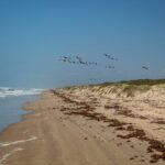 9 Stunning Texas Beaches To Enjoy During Summer