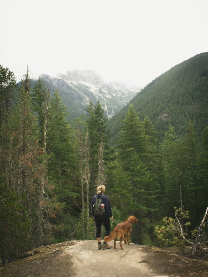 A woman and a dog looking out at trees and a mountain while on a hike.