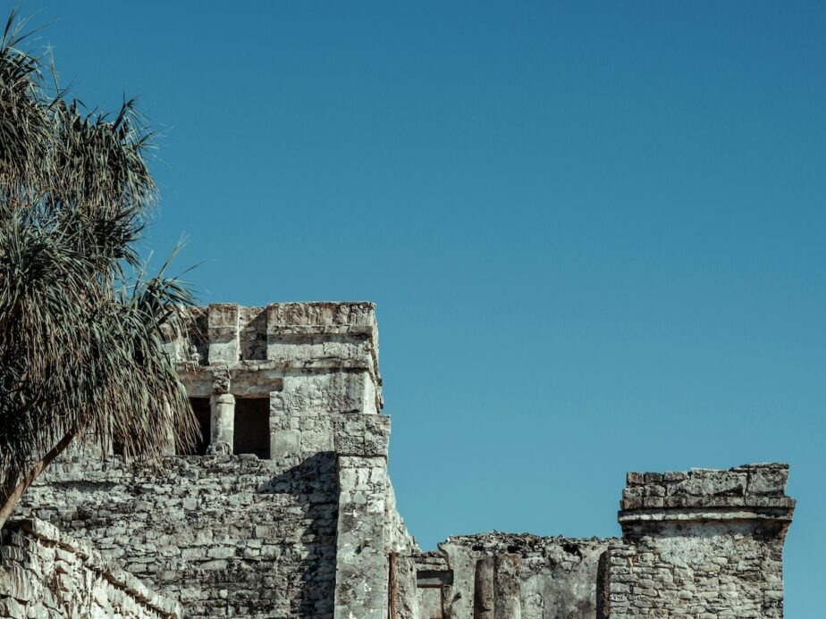 A mayan ruin with blue skies and a palm tree.