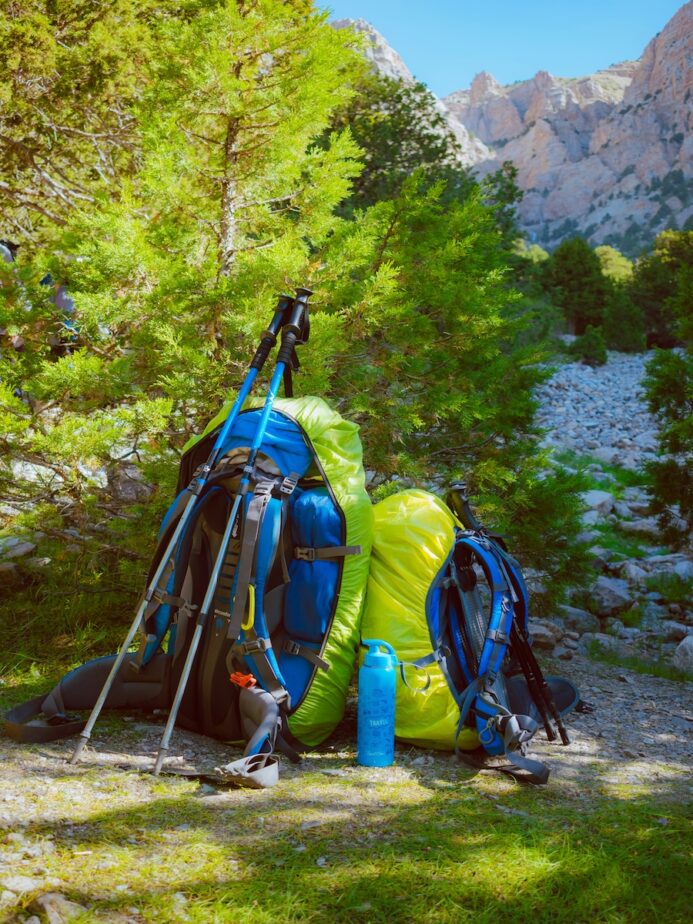 Two hiking backpacks leaned up against each other in the wilderness.