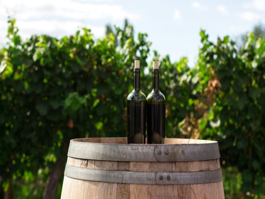 Two wine bottles sitting on a barrel with greenery behind them.