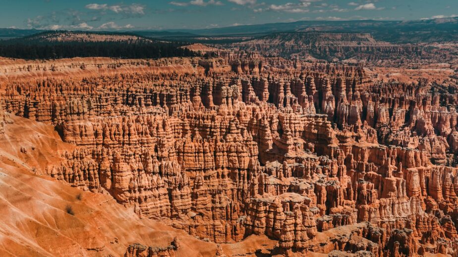 Red hoodoos at Bryce Canyon.