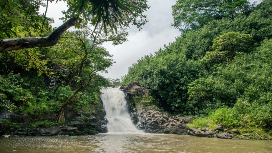 A waterfall with lush greenery along the Hana Highway.