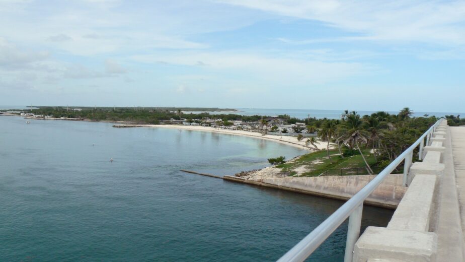 Palm trees, an island, and the ocean from the Overseas Highway.